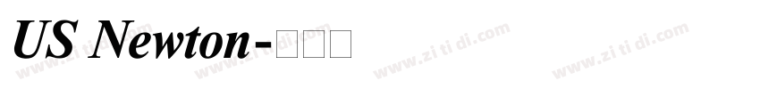 US Newton字体转换